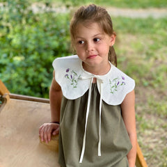 Delicate collar with embroidery